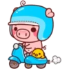 PINK PIG 21