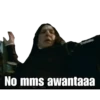 Harry Potter 23