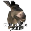 Shrek 12