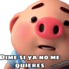PIG •Emomar 21