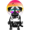 QUE ONDA!