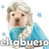 PERRITO PACK 14 19