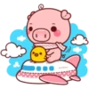 PINK PIG 23