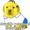 PERRITO PACK 14 20