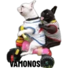 VAMONOS!!