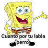 Bob Esponja 12