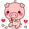 PINK PIG 24