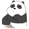 Panda Polar (We Bear Bears) PanPan 15