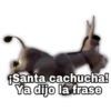 Shrek 13