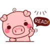 PINK PIG 25