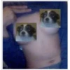 Stickers enfermos, estupidos 3 23