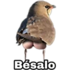 ¿Dónde están los pájaros? 21