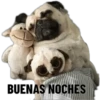 BUENAS NOCHES