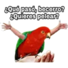 ¿Dónde están los pájaros? 22