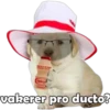 PERRITO PACK 14 21