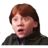 Harry Potter 25