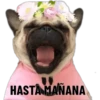HASTA MAÑANA