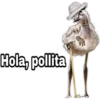 ¿Dónde están los pájaros? 23