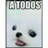 solo los mejores pac-mans del 24