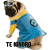 TE IGNORO