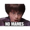 Harry Potter 27