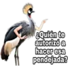 ¿Dónde están los pájaros? 27