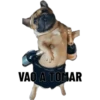 Calvin Kle
VAO A TOMAR
Cove