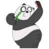 Panda Polar (We Bear Bears) PanPan 19