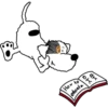 Bandit & friends 16