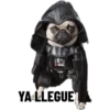 YA LLEGUE