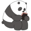 Panda Polar (We Bear Bears) PanPan 20