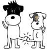 Bandit & friends 18