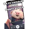 PIG •Emomar 25