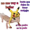 iguana y perro 24