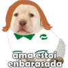 PERRITO PACK 6 23