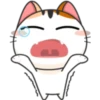 ❥Meow~ For Mishell ^ⲱ^ 1. 29