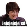 Harry Potter 29