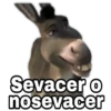 Shrek 22