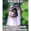 respuestas con memes 4 29