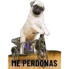 ME PERDONAS
