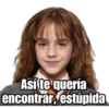 Harry Potter 30