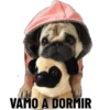 VAMO A DORMIR