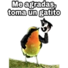 ¿Dónde están los pájaros? 30