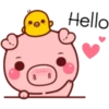 PINK PIG 30