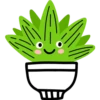 Cactus 5