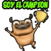 SOY EL CAMPEON
GRISER