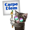 Carpe
Diem
Persephone