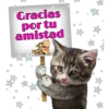 Gracias
por tu
amistad
Persephone