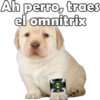PERRITO PACK11 8