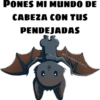 ANIMALS 9